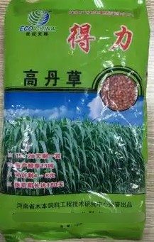 得力高丹草---“養(yǎng)魚(yú)青飼料之王”，具有產(chǎn)量高、葉量豐富、適應(yīng)性廣、營(yíng)養(yǎng)豐富、生長(zhǎng)速度快、多次刈割、利用率高